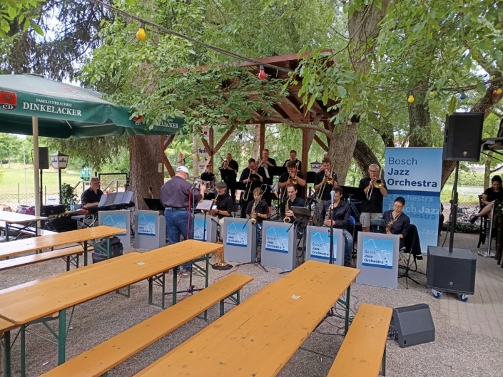 Ein brauner Hund springt über einen kleinen Holzzaun in einem grünen Garten.